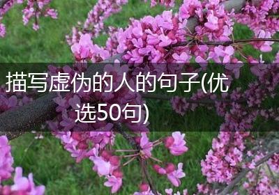 描写虚伪的人的句子(优选50句)