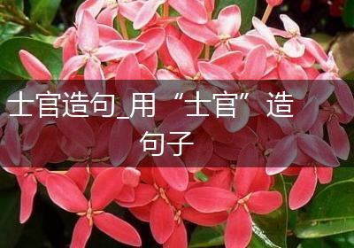 士官造句_用“士官”造句子