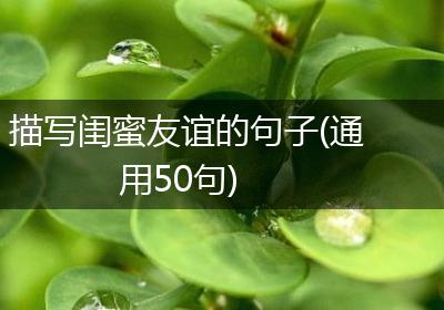 描写闺蜜友谊的句子(通用50句)