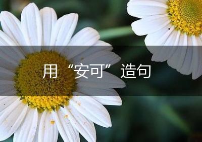 用“安可”造句
