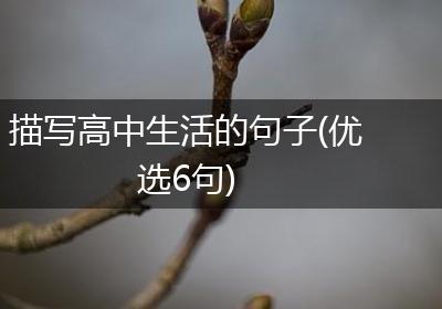 描写高中生活的句子(优选6句)