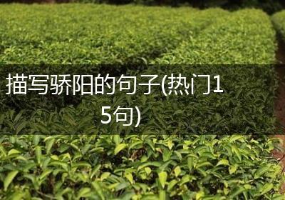 描写骄阳的句子(热门15句)