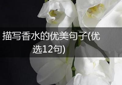 描写香水的优美句子(优选12句)