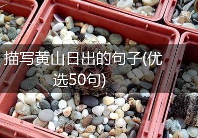 描写黄山日出的句子(优选50句)