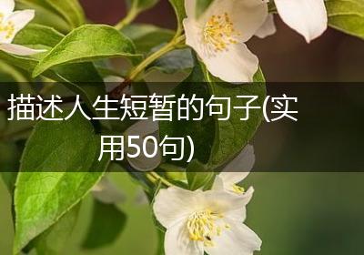 描述人生短暂的句子(实用50句)