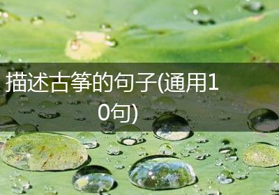 描述古筝的句子(通用10句)