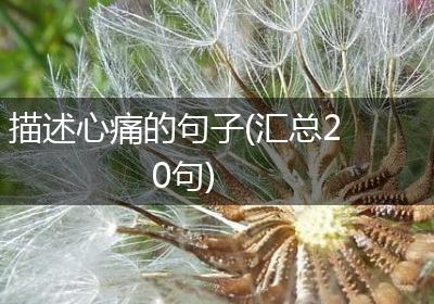 描述心痛的句子(汇总20句)