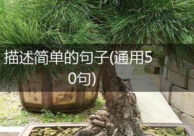 描述简单的句子(通用50句)