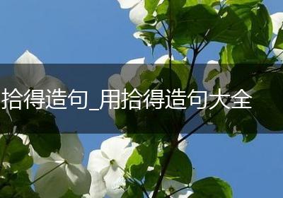 拾得造句_用拾得造句大全