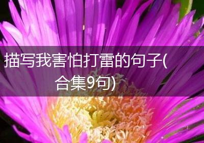 描写我害怕打雷的句子(合集9句)