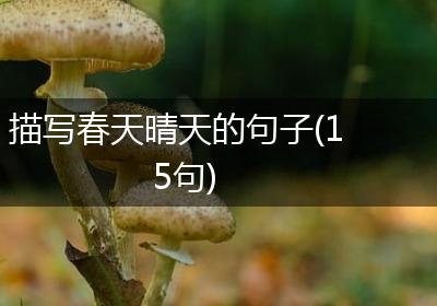描写春天晴天的句子(15句)