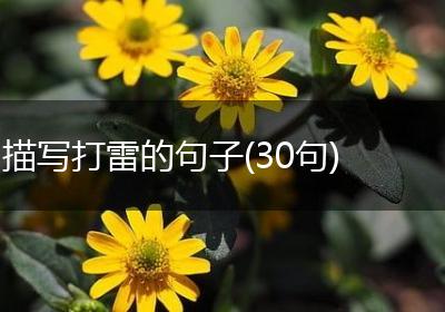 描写打雷的句子(30句)
