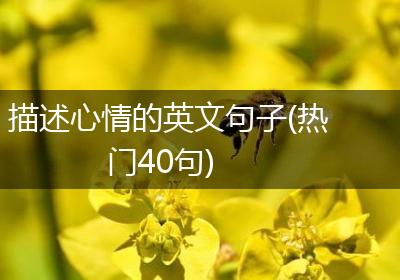 描述心情的英文句子(热门40句)