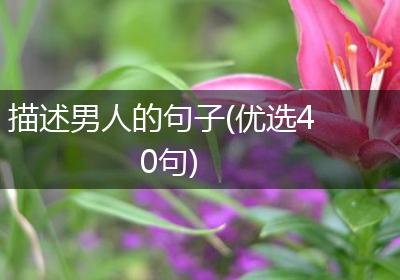 描述男人的句子(优选40句)
