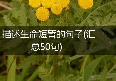 描述生命短暂的句子(汇总50句)