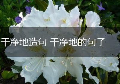 干净地造句 干净地的句子