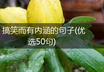 搞笑而有内涵的句子(优选50句)