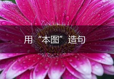 用“本图”造句