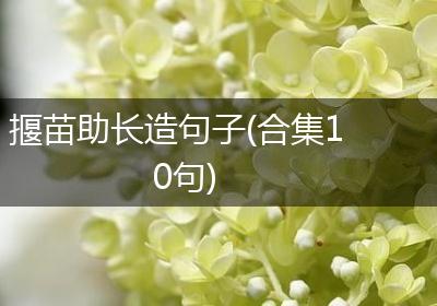 揠苗助长造句子(合集10句)