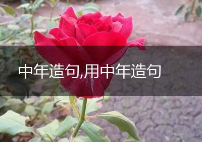 中年造句,用中年造句