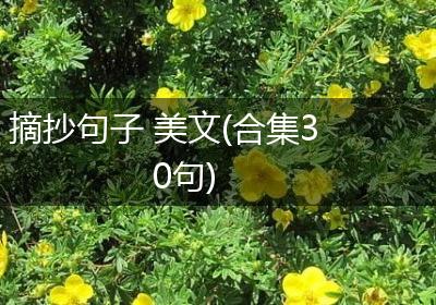 摘抄句子 美文(合集30句)
