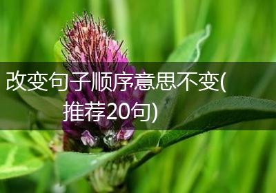 改变句子顺序意思不变(推荐20句)