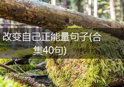 改变自己正能量句子(合集40句)