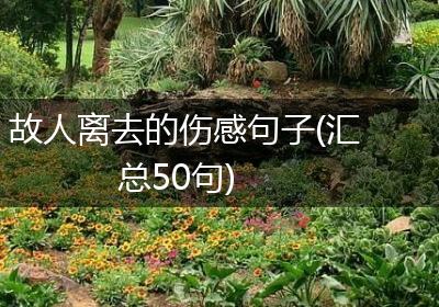 故人离去的伤感句子(汇总50句)
