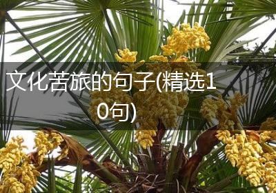 文化苦旅的句子(精选10句)