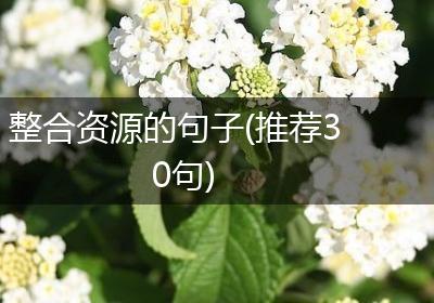 整合资源的句子(推荐30句)