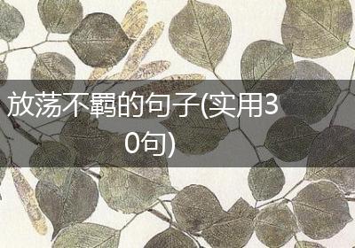 放荡不羁的句子(实用30句)