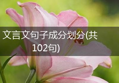 文言文句子成分划分(共102句)