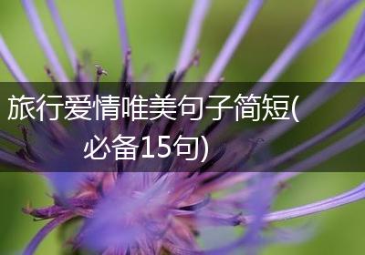 旅行爱情唯美句子简短(必备15句)