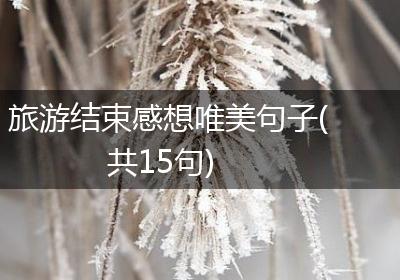 旅游结束感想唯美句子(共15句)