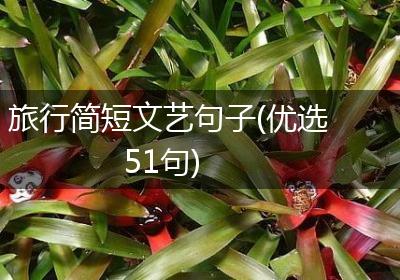 旅行简短文艺句子(优选51句)
