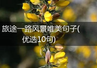 旅途一路风景唯美句子(优选10句)