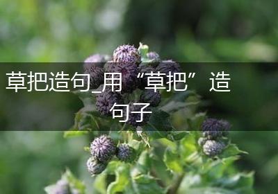 草把造句_用“草把”造句子