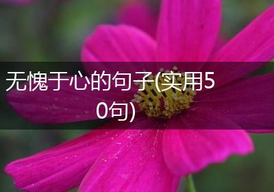 无愧于心的句子(实用50句)