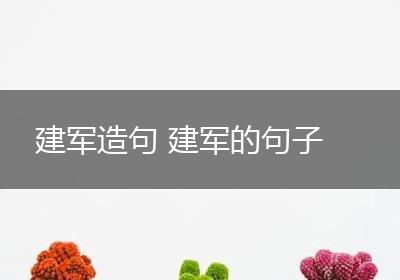 建军造句 建军的句子