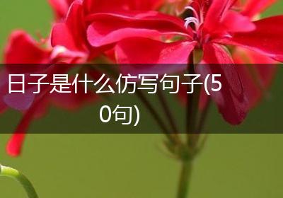 日子是什么仿写句子(50句)