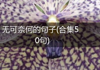 无可奈何的句子(合集50句)