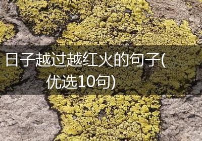 日子越过越红火的句子(优选10句)