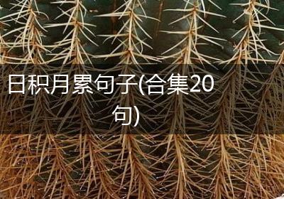 日积月累句子(合集20句)