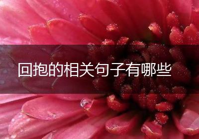 回抱的相关句子有哪些