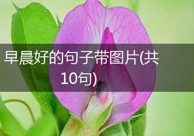 早晨好的句子带图片(共10句)
