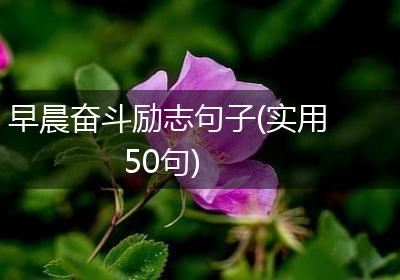 早晨奋斗励志句子(实用50句)