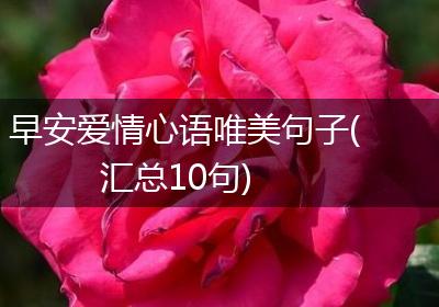 早安爱情心语唯美句子(汇总10句)