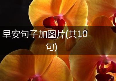 早安句子加图片(共10句)