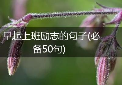 早起上班励志的句子(必备50句)