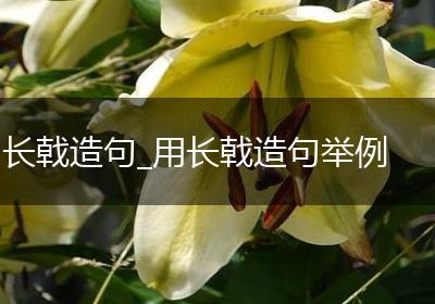 长戟造句_用长戟造句举例